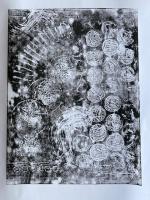   (c) Stained Glass Museum